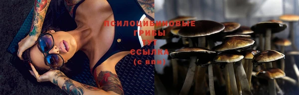 прущий лед Нея